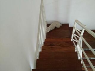 Whatsapp%20image%202023 03 15%20at%2023.38.11%20%282%29