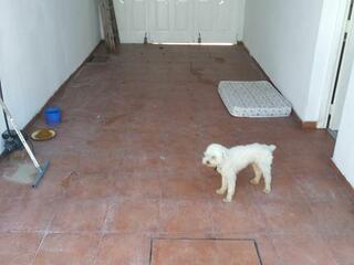 Whatsapp%20image%202023 03 15%20at%2023.38.11%20%2813%29