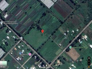 Whatsapp%20image%202026 01 19%20at%2010.42.41