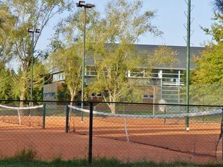 Tenis