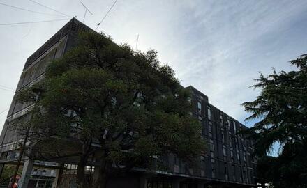 Whatsapp%20image%202026 02 20%20at%2015.55.06